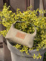 Bag Linen