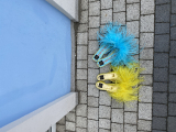 FEATHER in yellow color | Фото 3